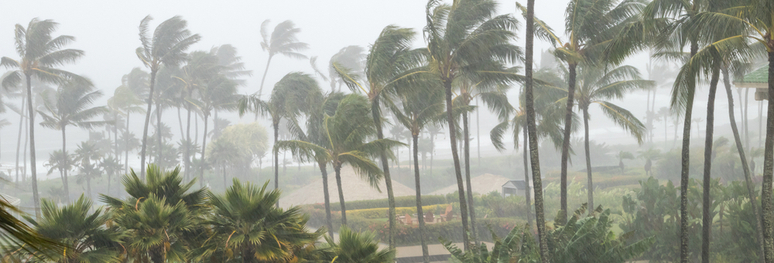 Tempête tropicale et fioul